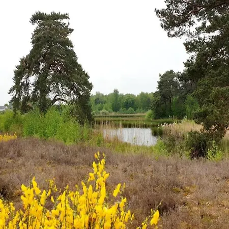 Сasa de vacaciones Detached Near Nijmegen Ewijk