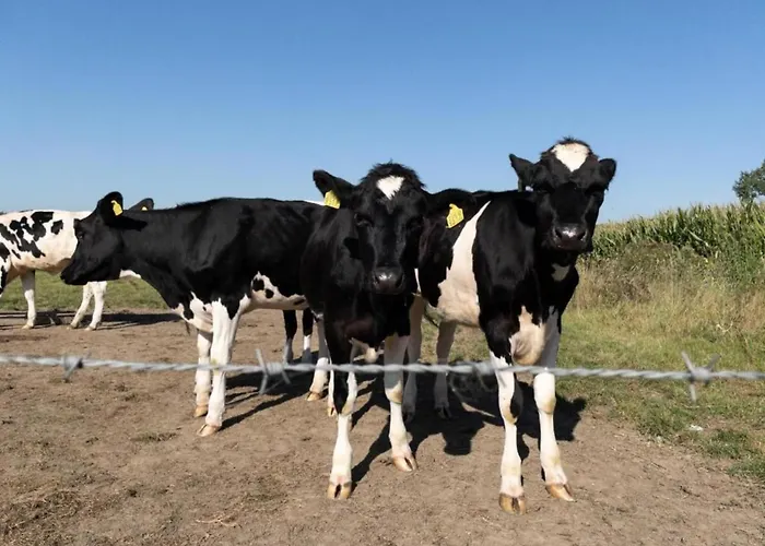 Сasa de vacaciones Detached Near Nijmegen